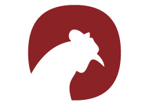 Kozy's Logo